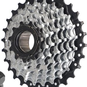 8 speed freewheel