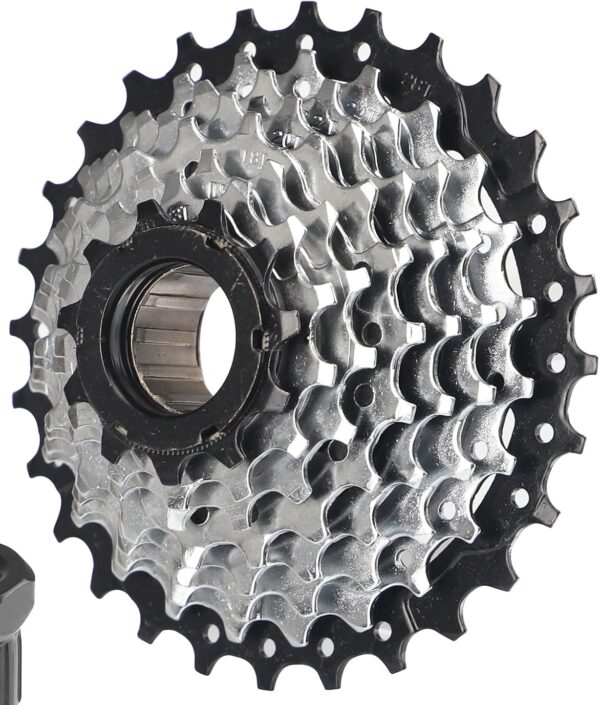 8 speed freewheel